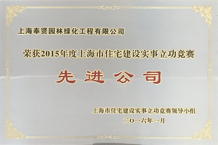 2015年度住宅建設實事(shì)立功競賽先進(jìn)公司.JPG